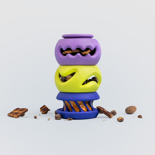 The Starter Stack V5