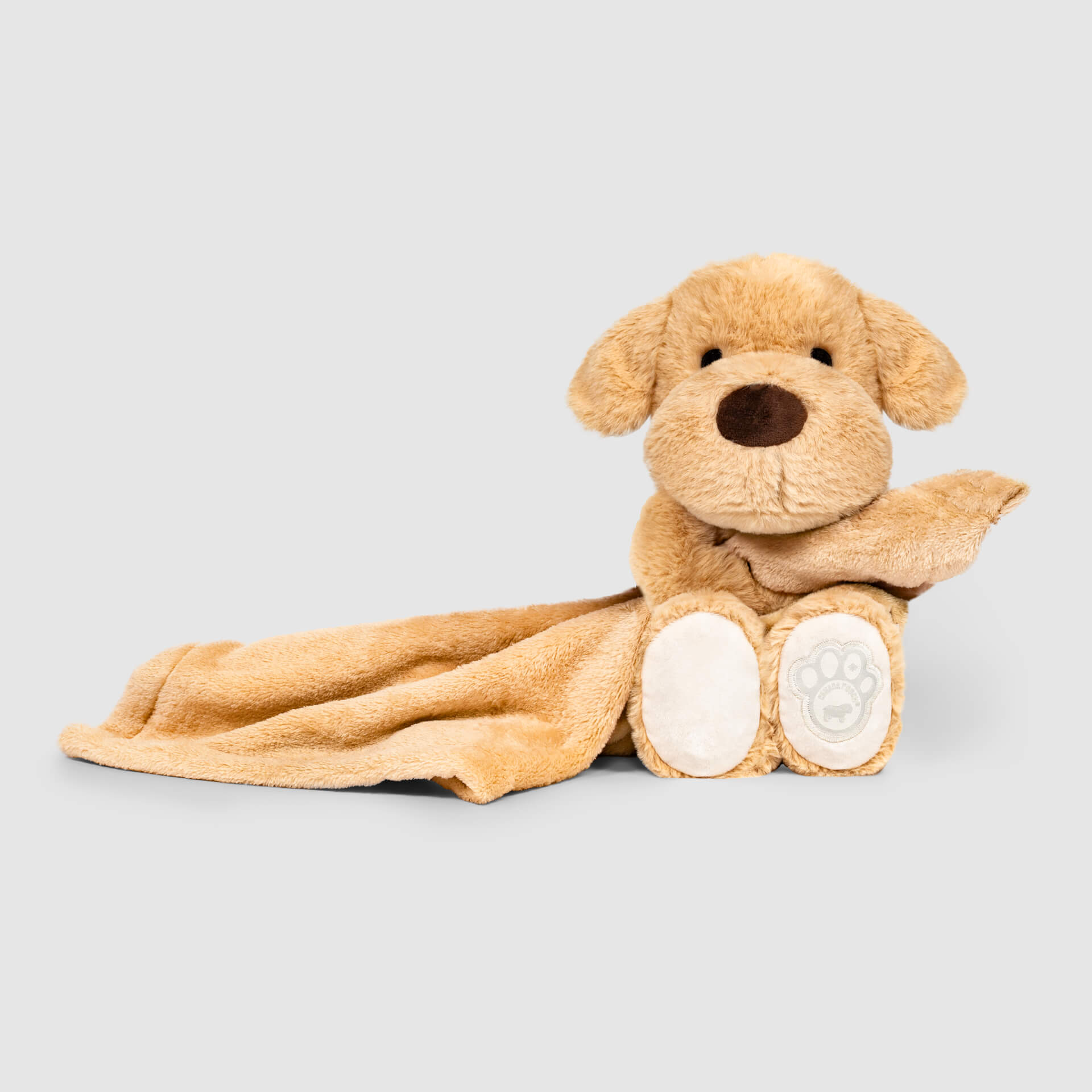 Weighted Calming Toy B7